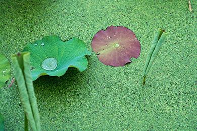 《仙剑奇侠传7》1.15版更新：新支线新武器外观